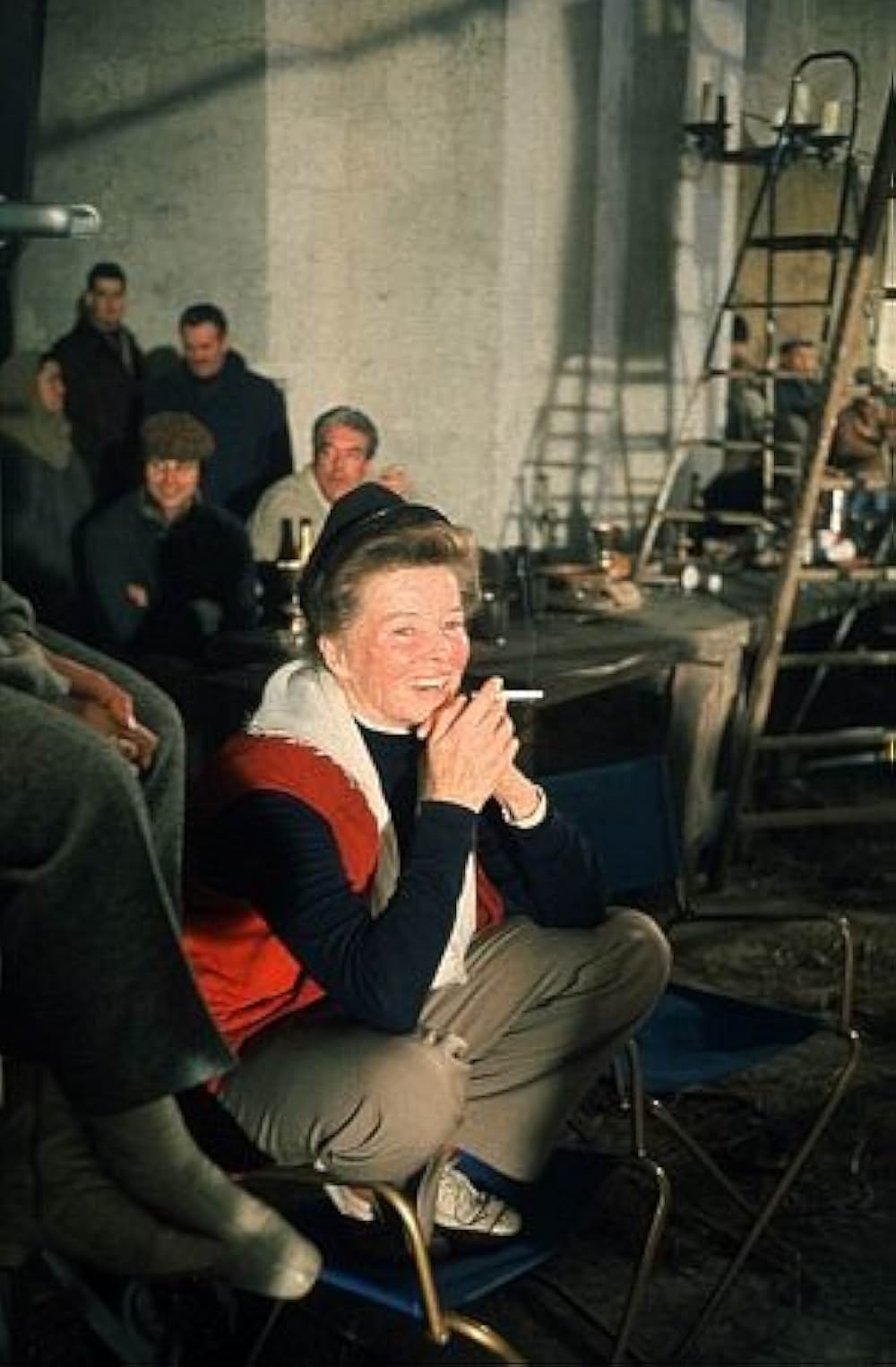 冬のライオンの画像