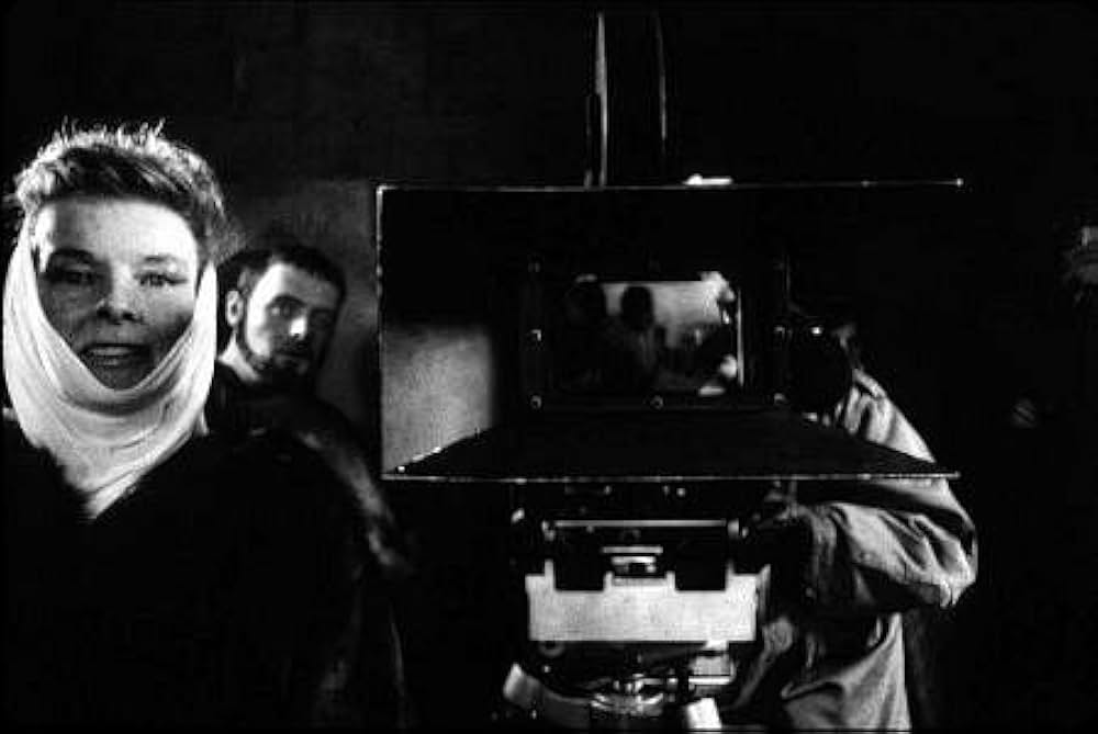 冬のライオンの画像