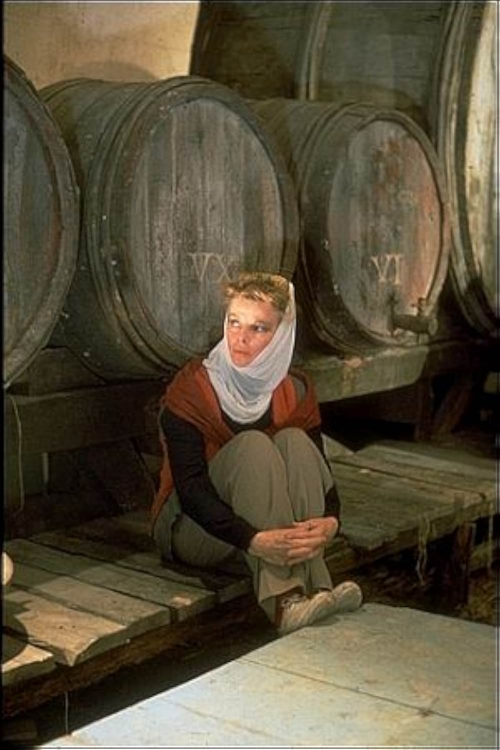 冬のライオンの画像