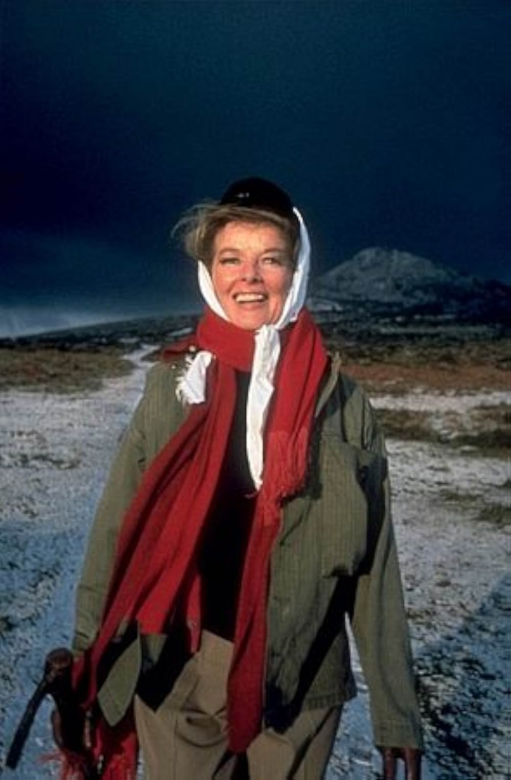 冬のライオンの画像