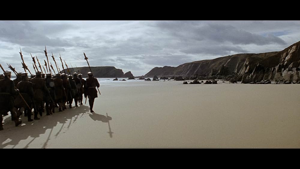 冬のライオンの画像