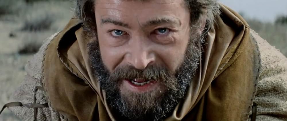 冬のライオンの画像