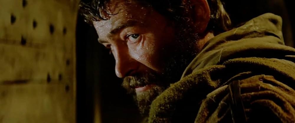 冬のライオンの画像