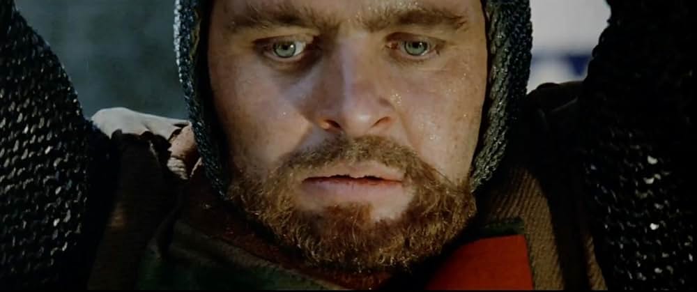 冬のライオンの画像