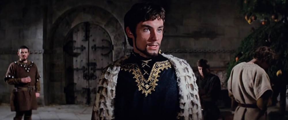 冬のライオンの画像