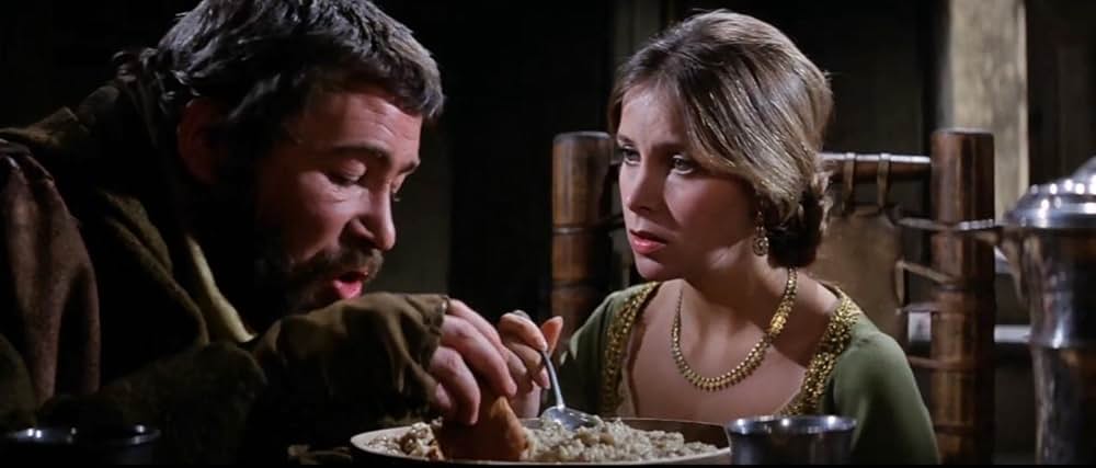 冬のライオンの画像