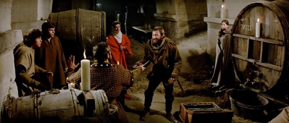 冬のライオンの画像