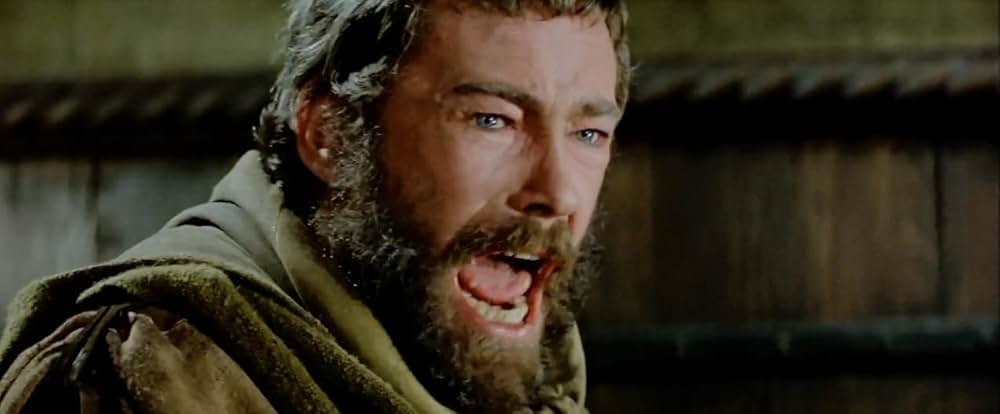 冬のライオンの画像