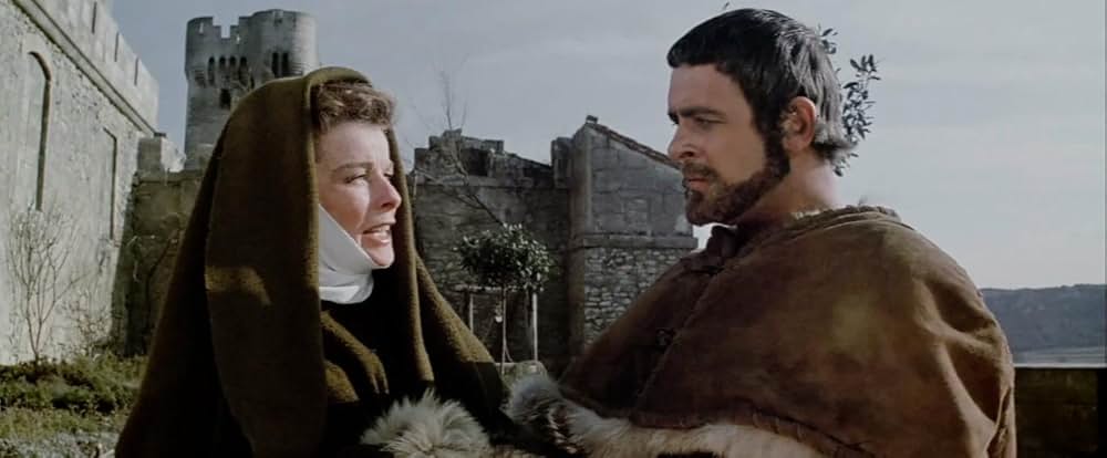 冬のライオンの画像