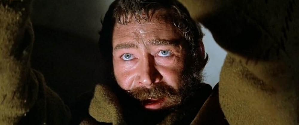 冬のライオンの画像