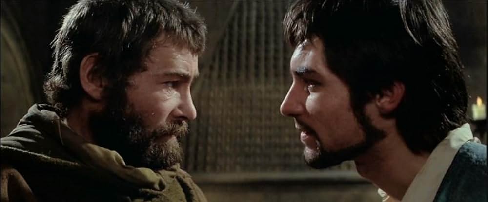 冬のライオンの画像