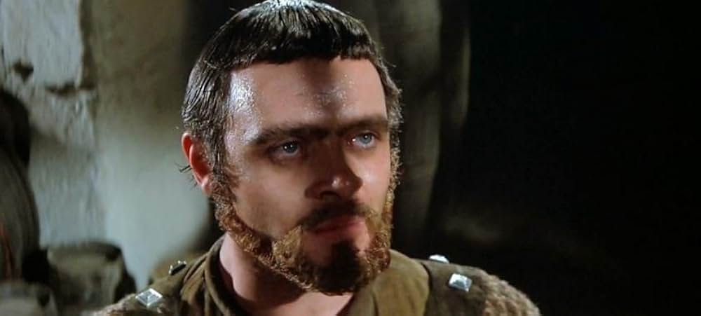 冬のライオンの画像