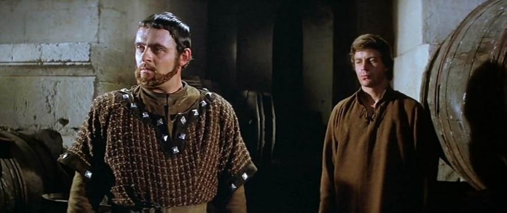 冬のライオンの画像