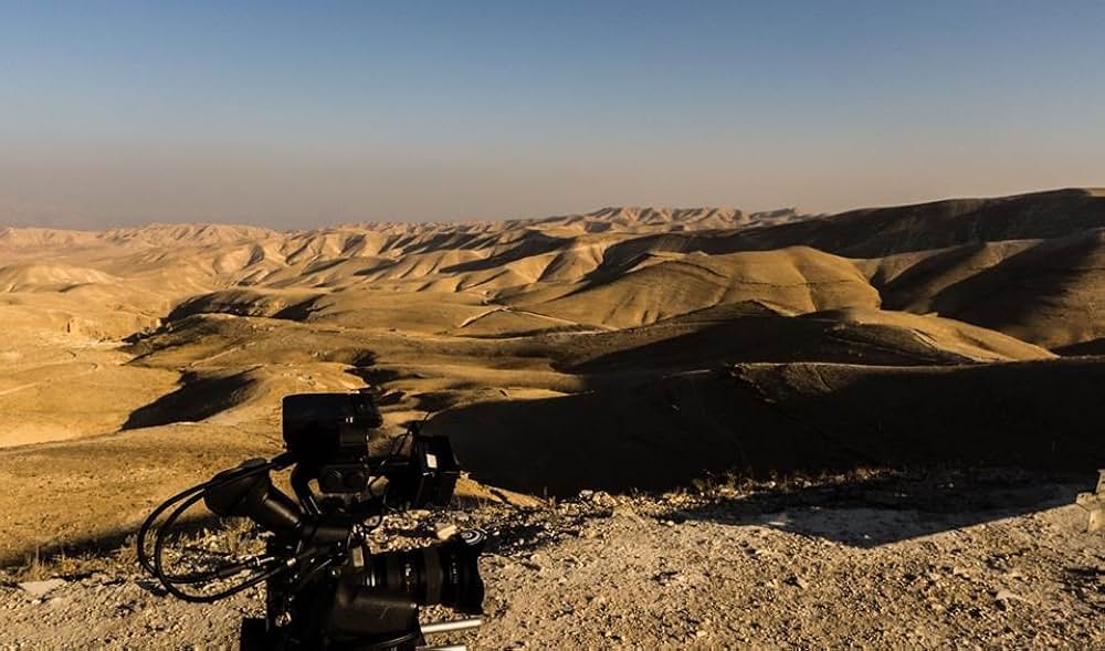 乳牛たちのインティファーダの画像