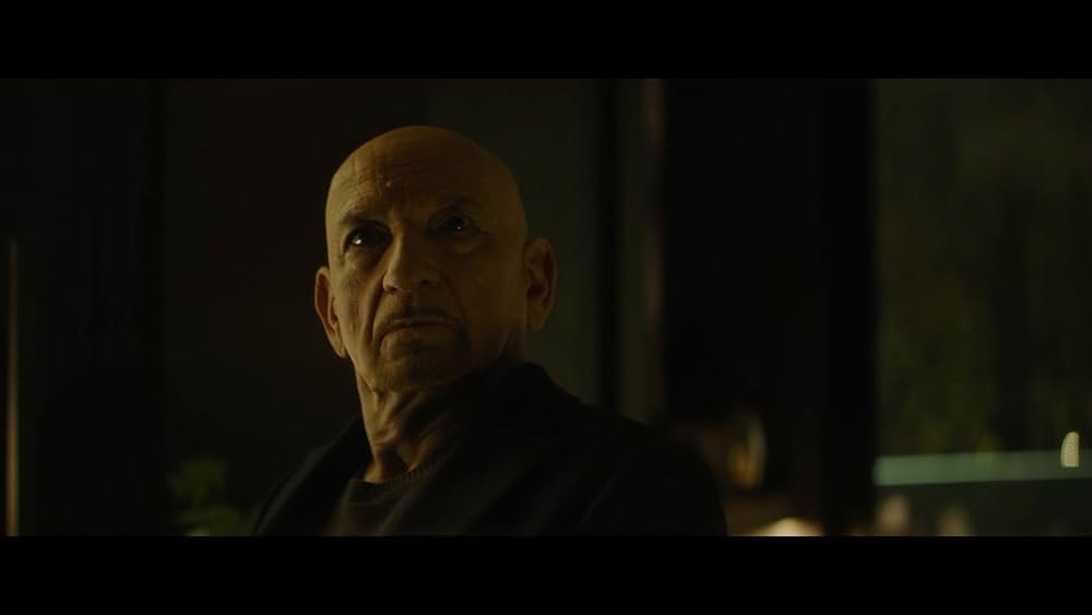 スパイダー・イン・ザ・ウェブ／巣の中のクモの画像