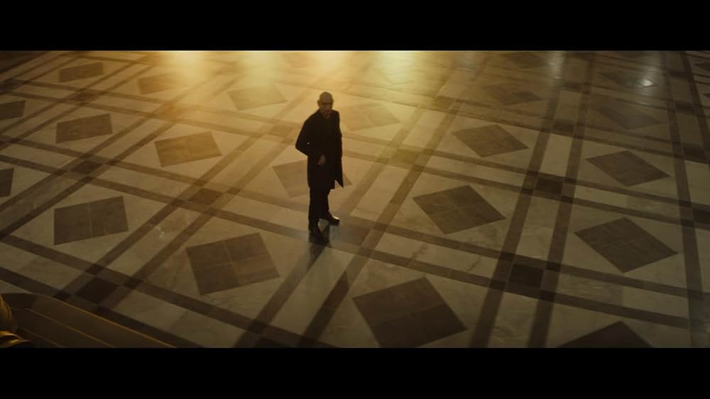 スパイダー・イン・ザ・ウェブ／巣の中のクモの画像