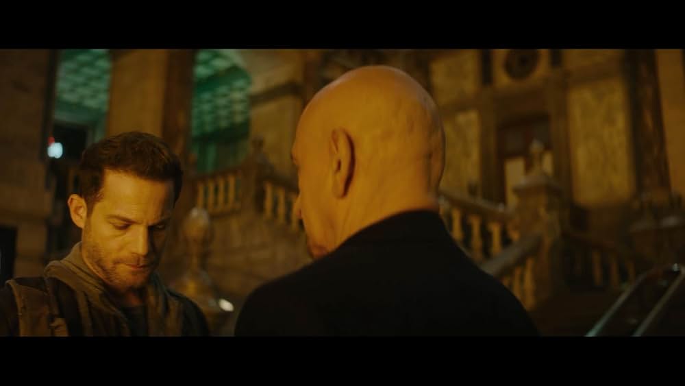 スパイダー・イン・ザ・ウェブ／巣の中のクモの画像