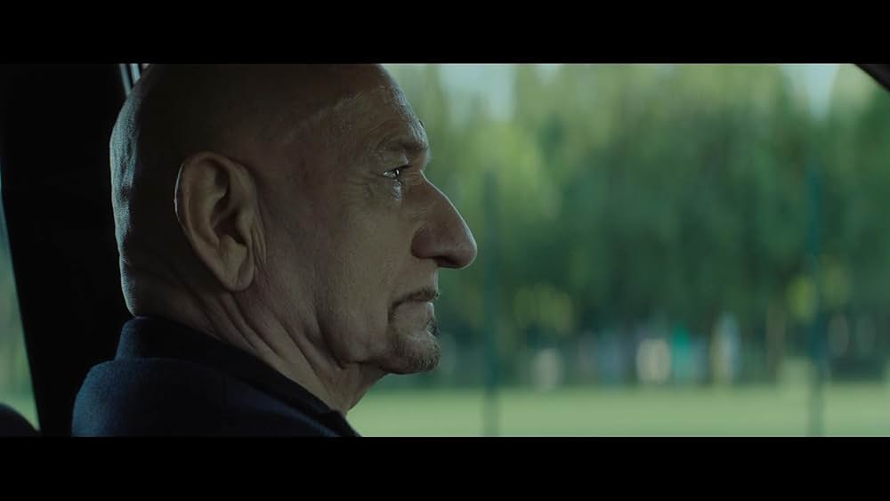 スパイダー・イン・ザ・ウェブ／巣の中のクモの画像