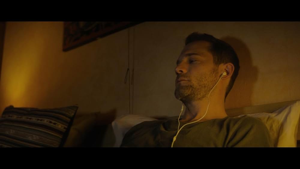 スパイダー・イン・ザ・ウェブ／巣の中のクモの画像