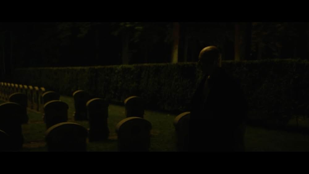 スパイダー・イン・ザ・ウェブ／巣の中のクモの画像