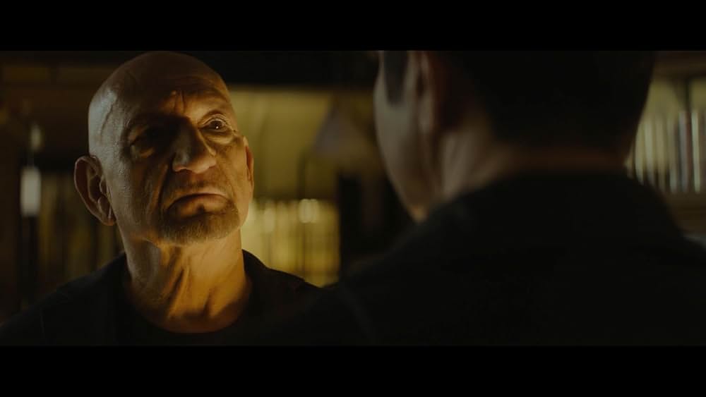 スパイダー・イン・ザ・ウェブ／巣の中のクモの画像