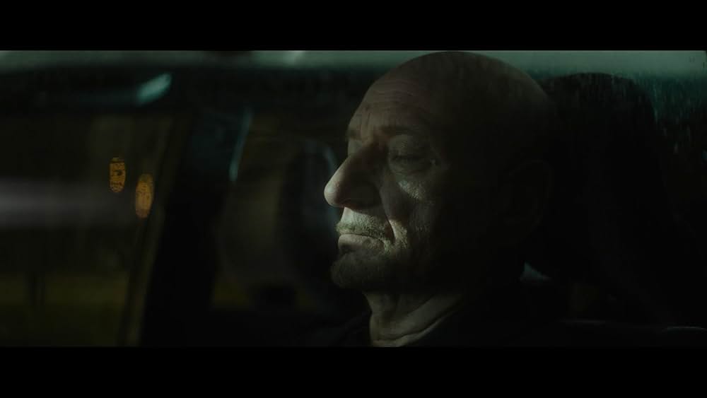 スパイダー・イン・ザ・ウェブ／巣の中のクモの画像