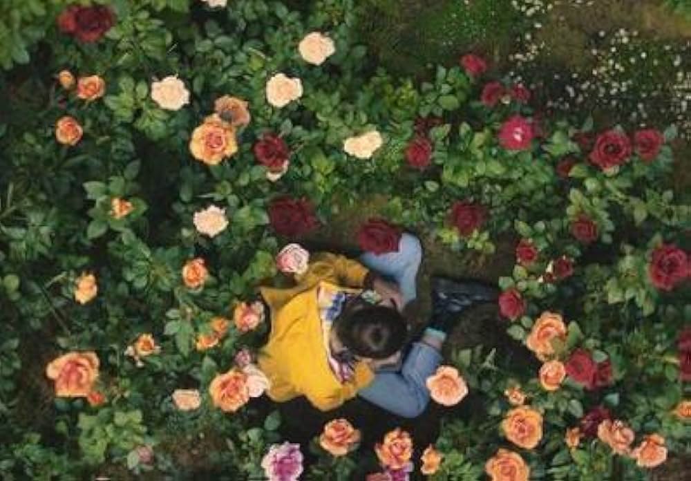 空はどこにでもの画像