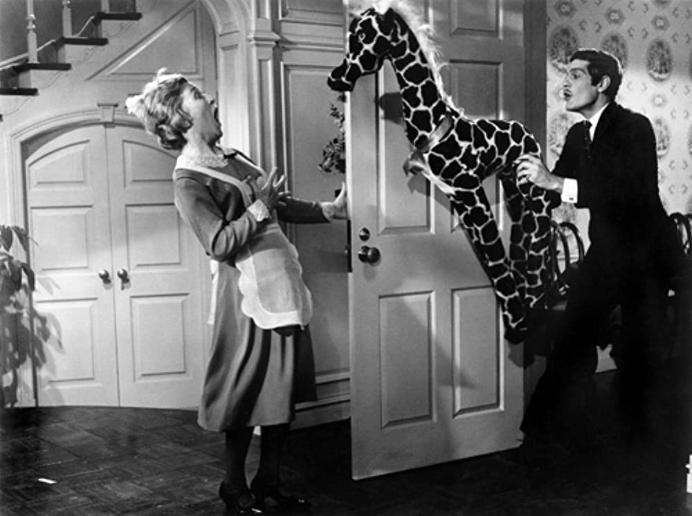 謎の下宿人の画像