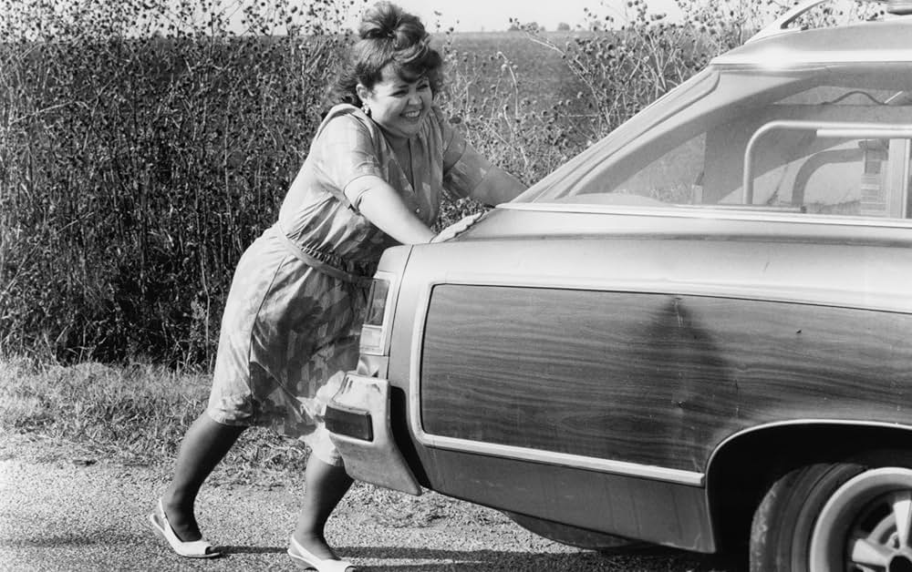 家族狂想曲の画像