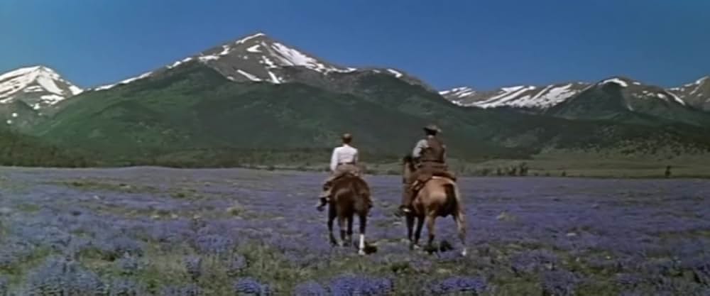 西部の旅がらすの画像