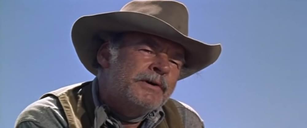 西部の旅がらすの画像