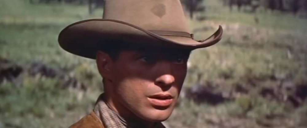 西部の旅がらすの画像