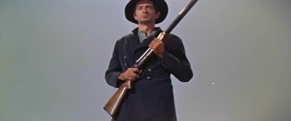 西部の旅がらすの画像