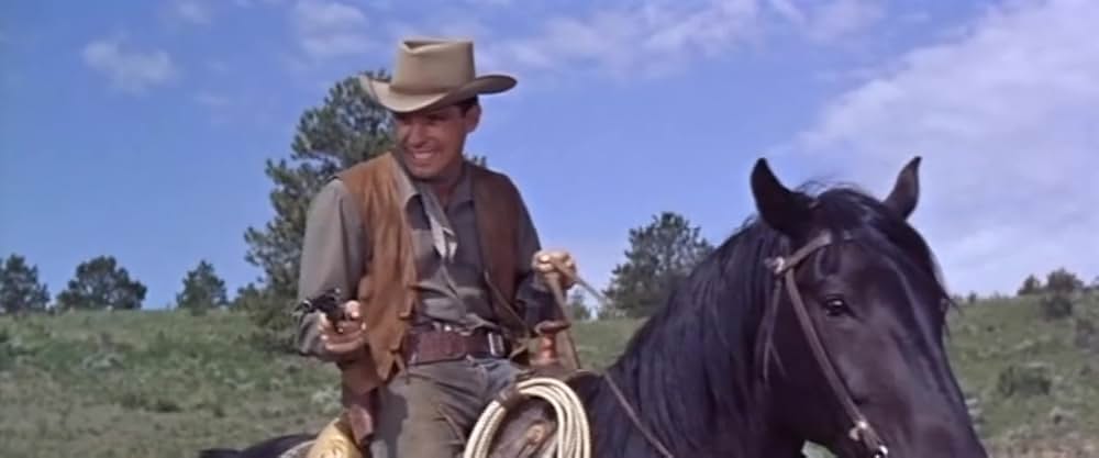 西部の旅がらすの画像