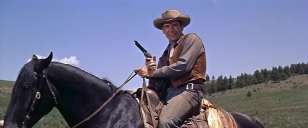 西部の旅がらすの画像