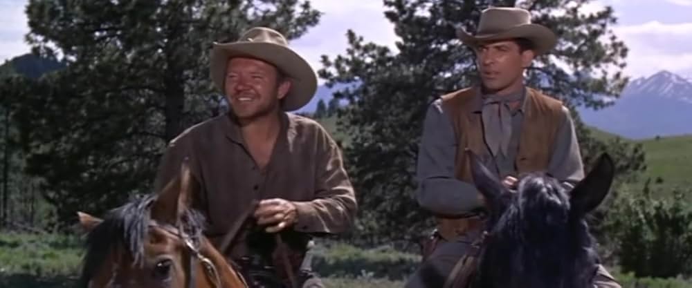 西部の旅がらすの画像