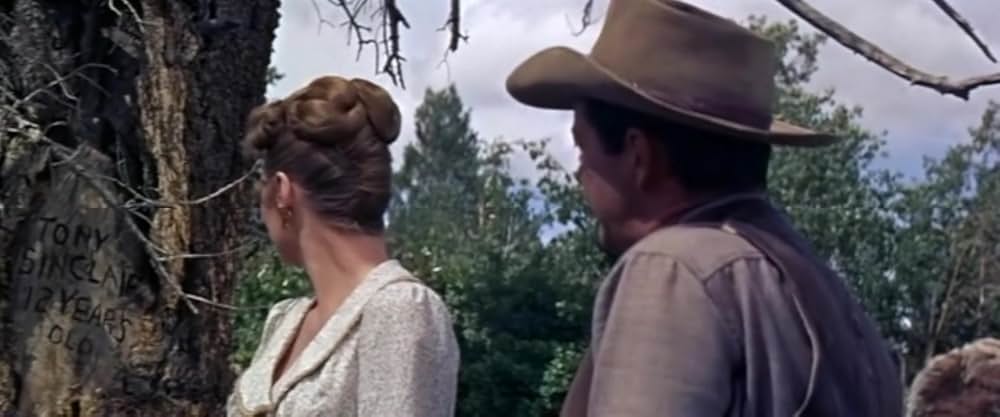 西部の旅がらすの画像