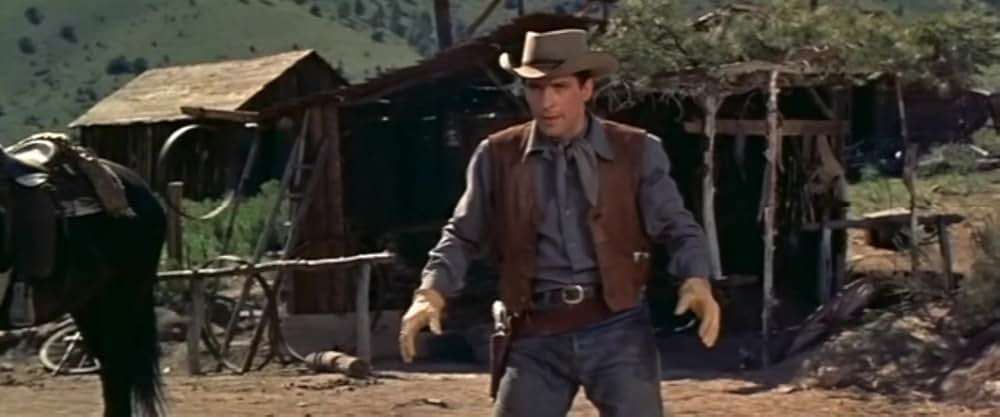 西部の旅がらすの画像