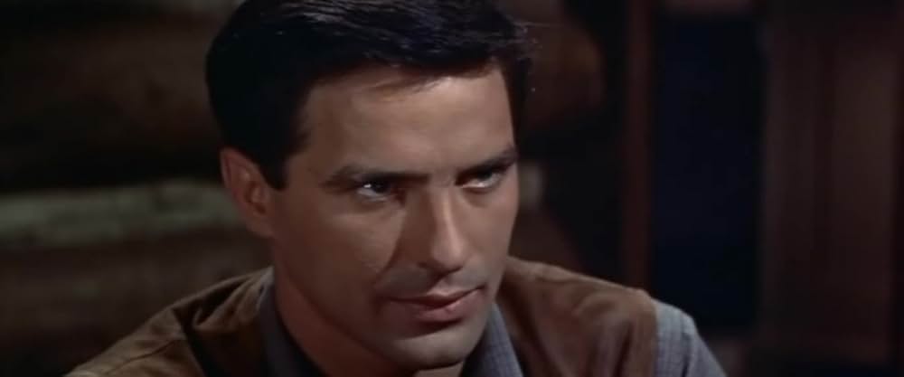 西部の旅がらすの画像