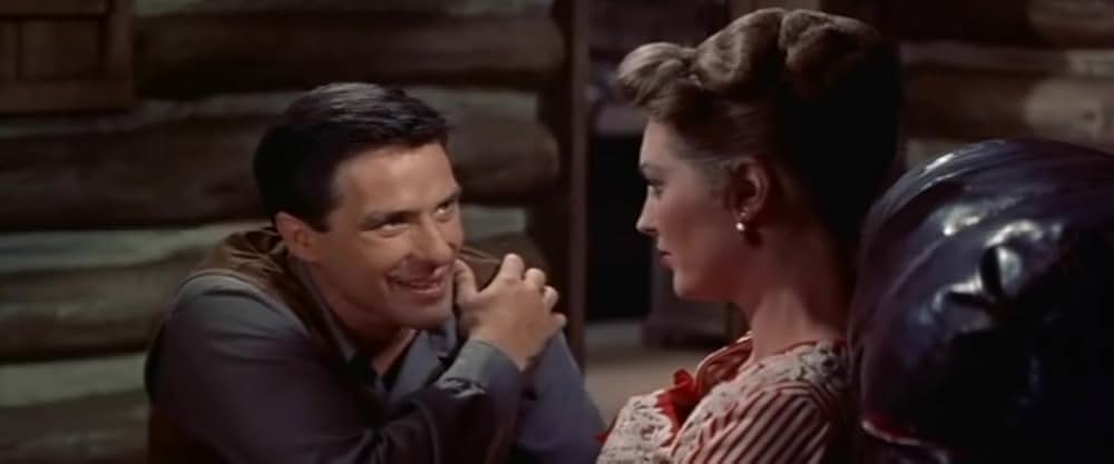 西部の旅がらすの画像