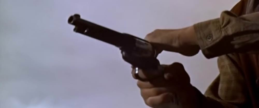 西部の旅がらすの画像