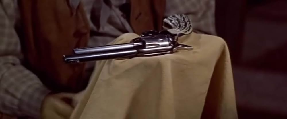 西部の旅がらすの画像