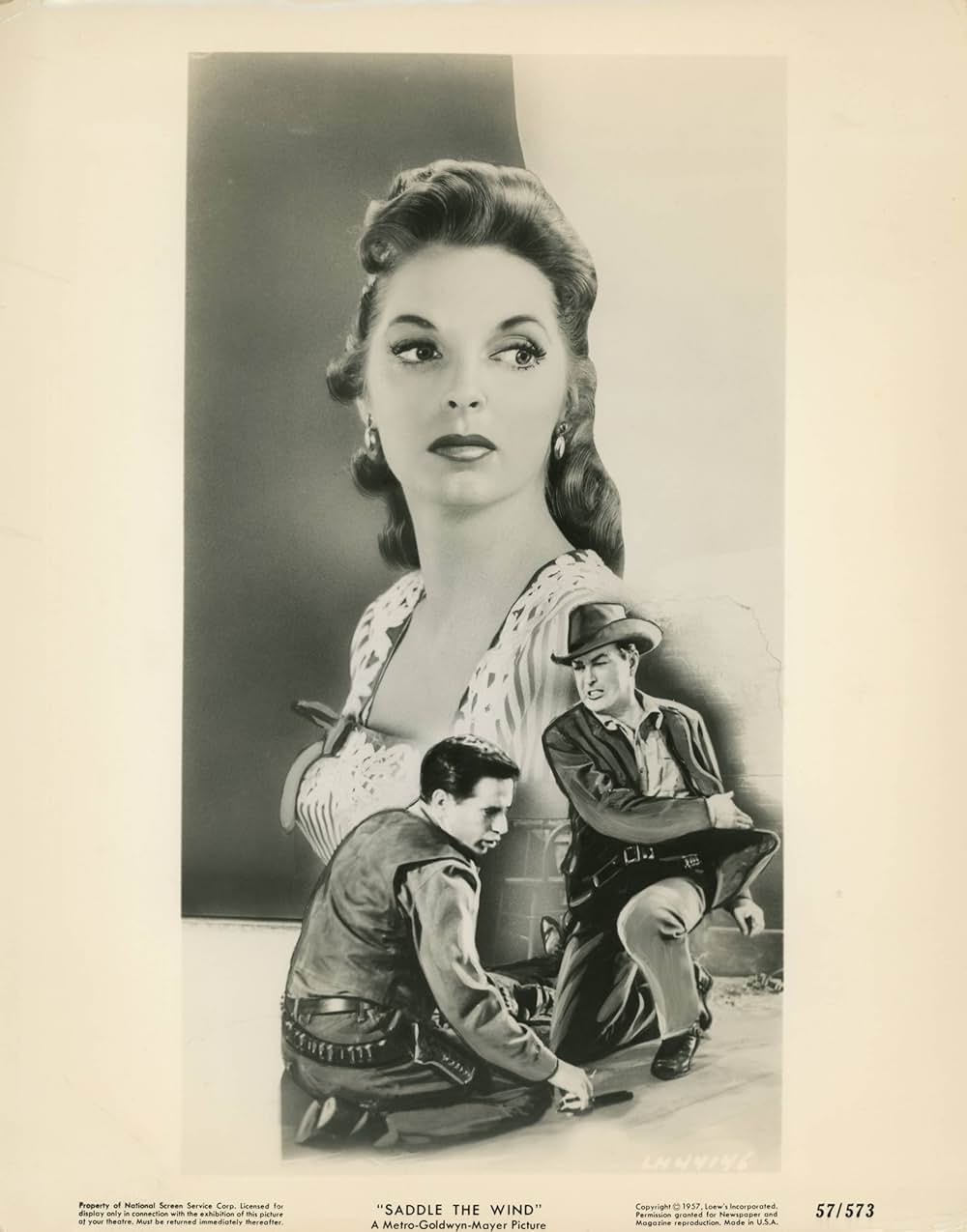 西部の旅がらすの画像