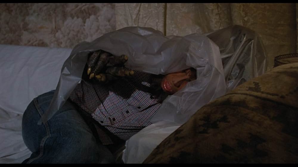 ハイ・スクール・ウルフの画像