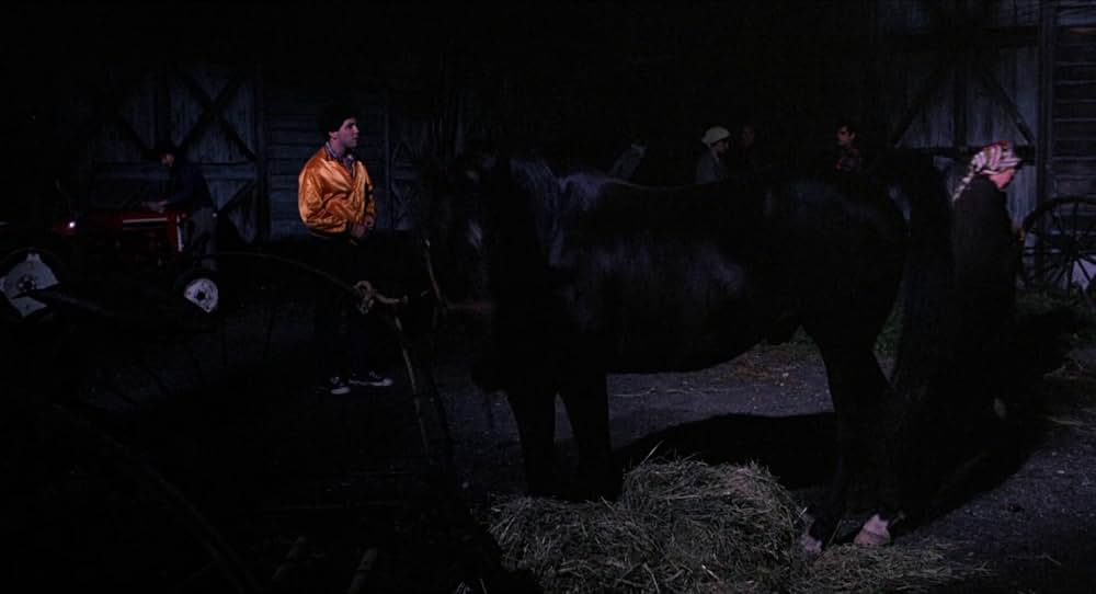 ハイ・スクール・ウルフの画像