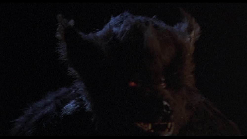 ハイ・スクール・ウルフの画像