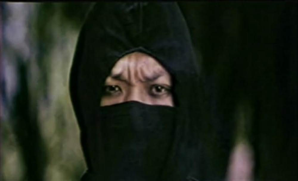 忍者プロテクターの画像