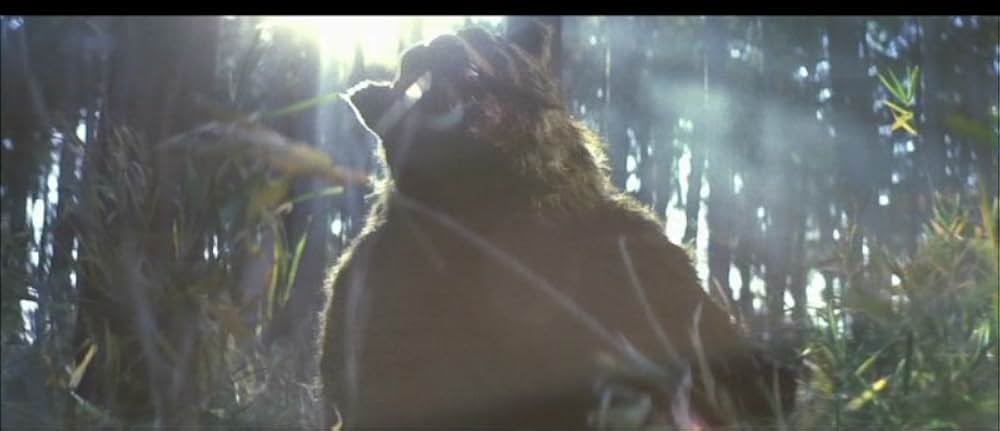 けんか空手 極真無頼拳の画像