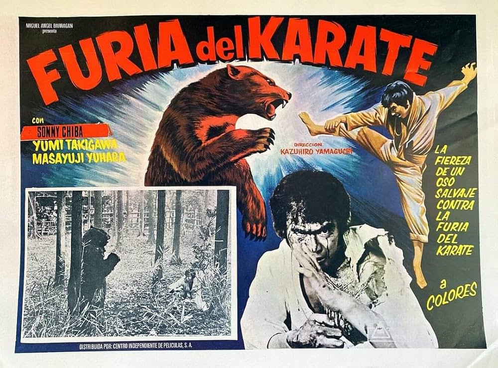 「けんか空手 極真無頼拳」の画像