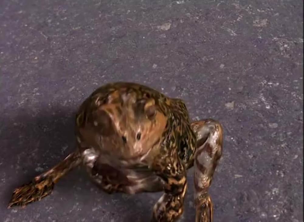 フロッグ・プリンス カエルの王子さまの画像